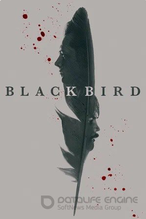 Чёрная птица (мини–сериал 2022)